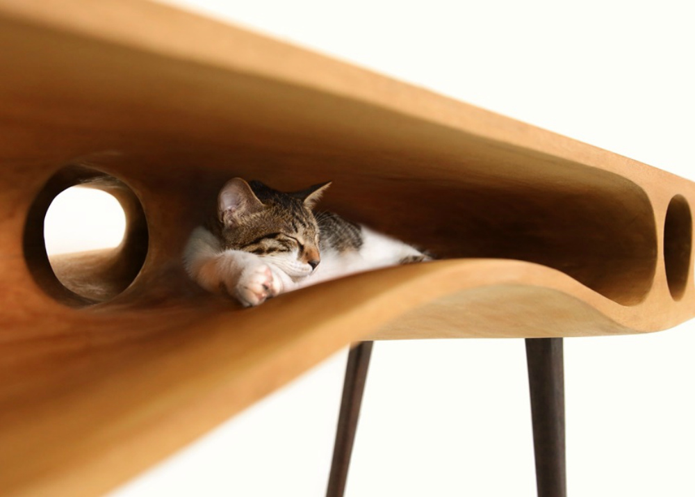 Кошачья мебель
